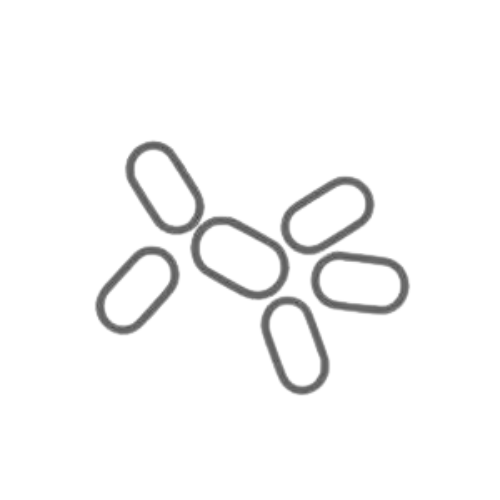 No yeast Icon for daily women multivitamin