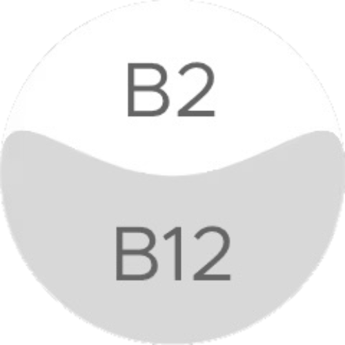 Vitamin B2 & B12