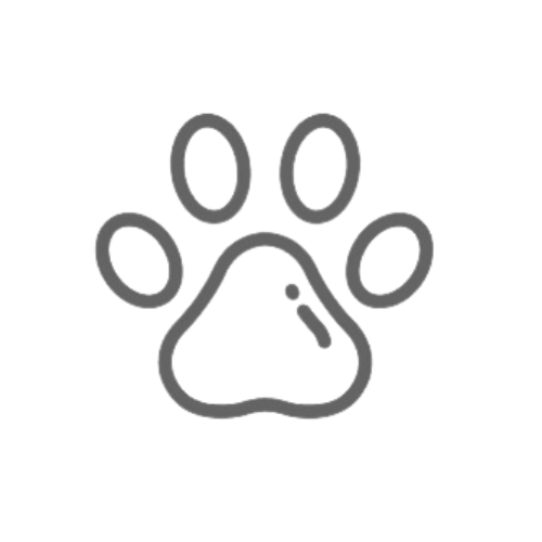 Not tested on animals icon for wellwoman original product